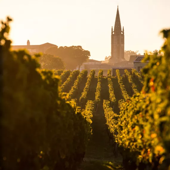 Saint-Emilion Wine and Village - HDM