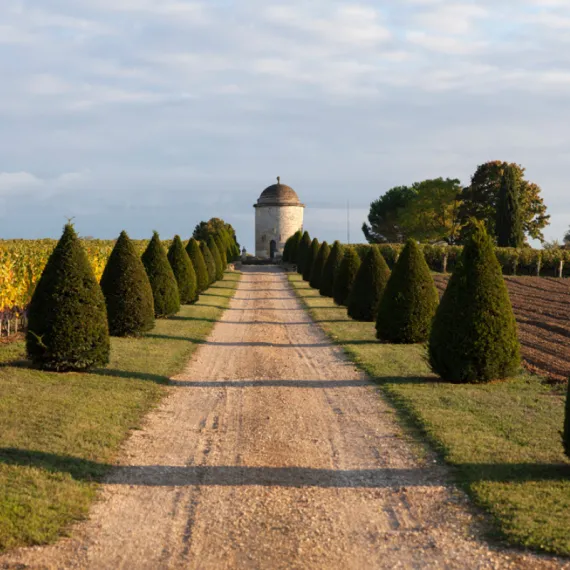 balade-grand-cru-classe-st-emilion.png