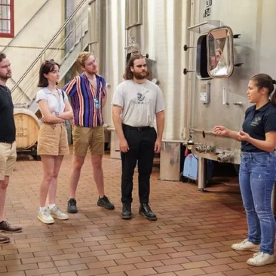 Explication des cuviers Château Haut Breton Larigaudière