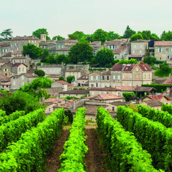 Village de Saint-Emilion vu des vignes 